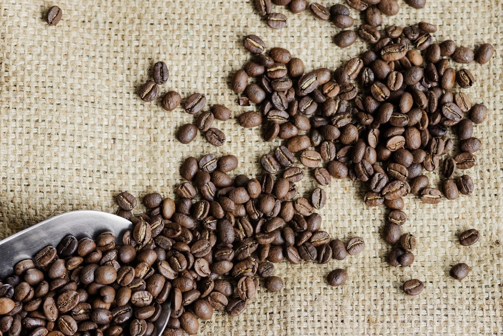 🇧🇷 Café du Brésil Caracoli Yellow Bourbon – Image 4