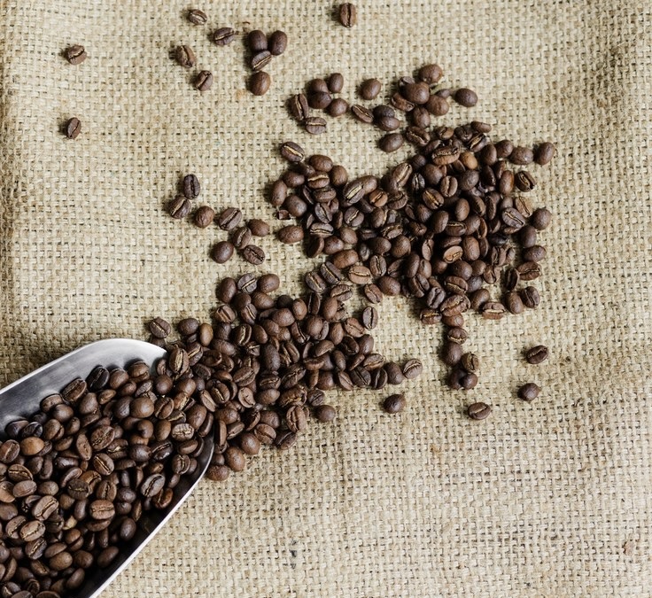 Arabica ou Robusta : deux cafés, deux caractères