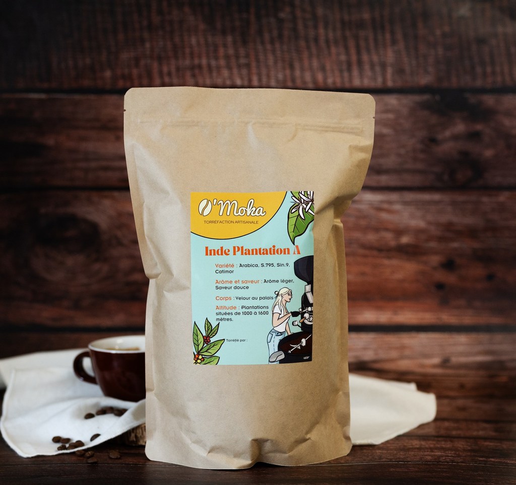 🇮🇳 Café d'Inde – Arabica Lavé Plantation A – Image 3