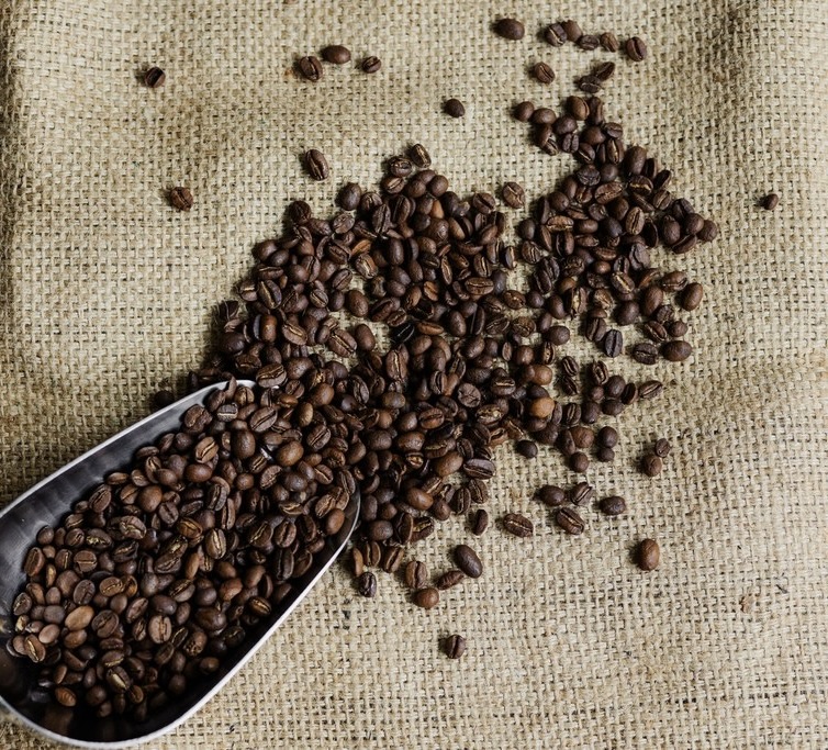 🇵🇪 Café du Pérou HB Bio Max Havelaar – Image 4