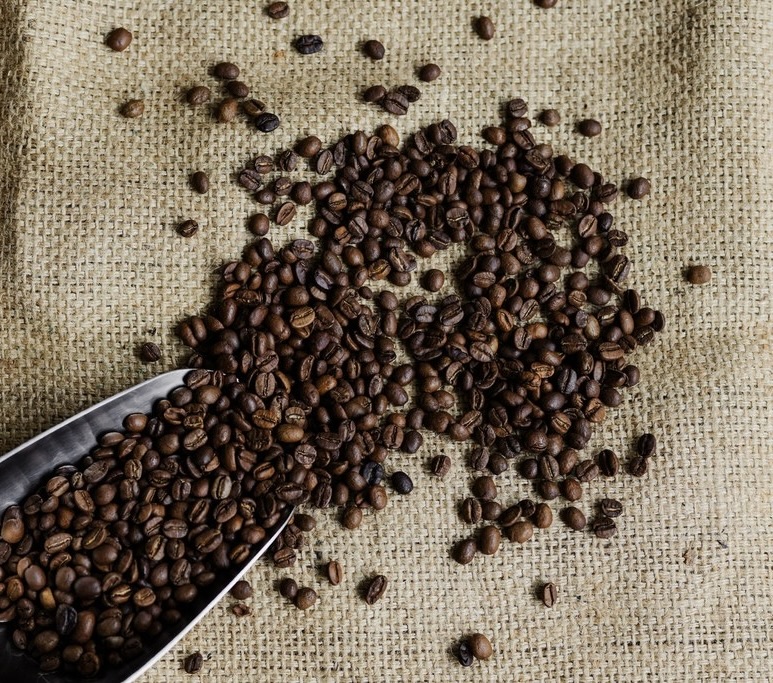 🇨🇷 Café du Costa Rica Tarrazù – San Rafael – Image 4