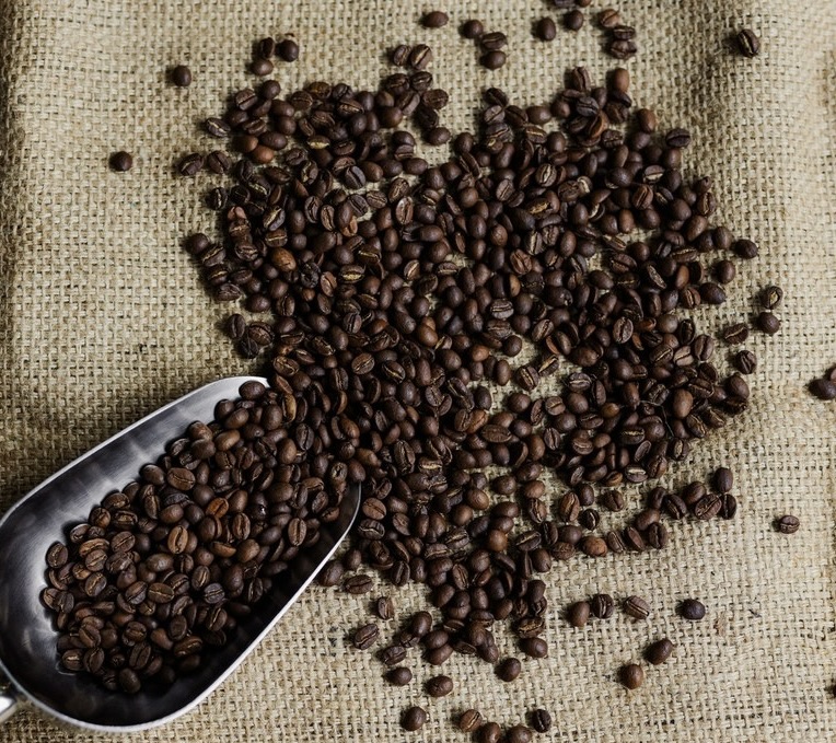 🇮🇳 Café d'Inde – Arabica Lavé Plantation A – Image 4