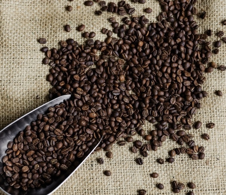 🇺🇬 Café Ouganda Bugisu AA – Image 4