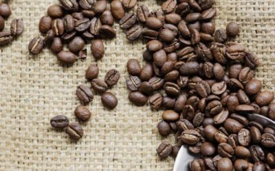 Le “Cupping”