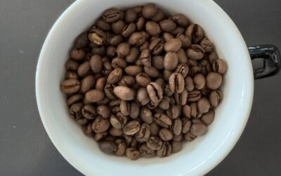L’art de la caféologie